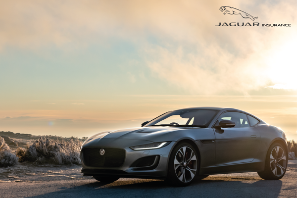 Jaguar Landingspagina
